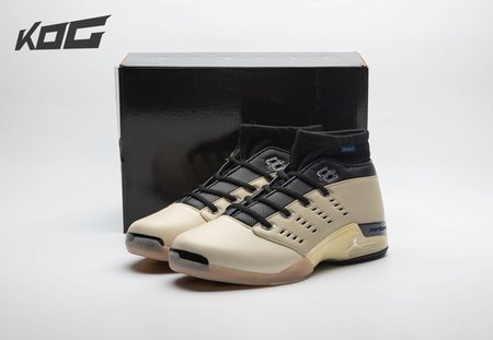 INFINITE ARCHIVES x Air Jordan 17 Low IH0177-200 Size 41-47.5